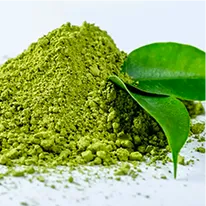 L-Theanine in Java Burn